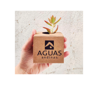 Producto